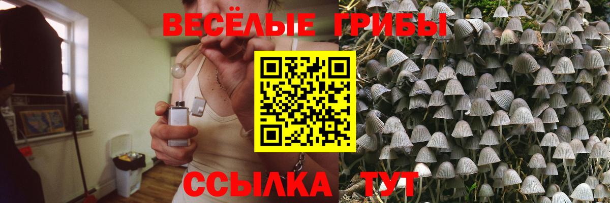 Галлюциногенные грибы прущие грибы  Псилоцибиновые грибы Magic Shrooms  Вход с VPN  Тверь 