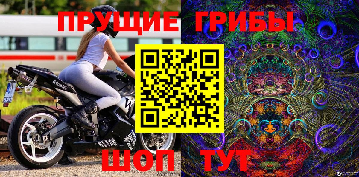 Псилоцибиновые грибы прущие грибы Тверь